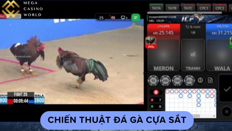 Chiến thuật đá gà cựa sắt