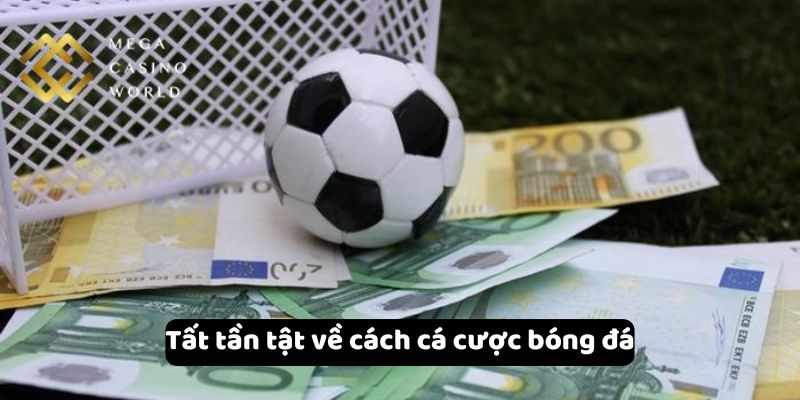 Tất tần tật về cách cá cược bóng đá